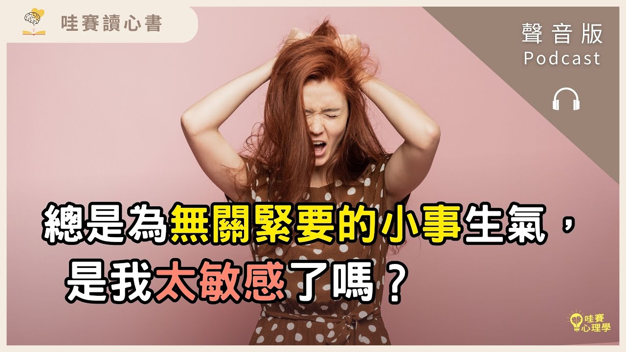 總是為無關緊要的小事生氣，是我太敏感嗎？情緒是語言：了解情緒背後的需求《躲在蚊子後面的大象》｜哇賽讀心書